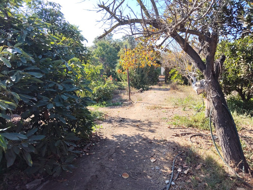 Se Vende Terreno En La Comuna De Quillota