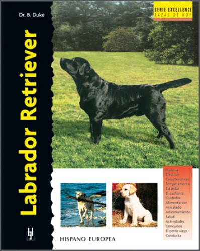 Labrador Retriever. Serie Excellence