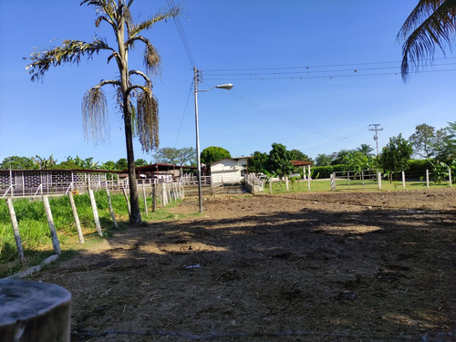 Estado Barinas Se Vende Finca Ganadera Yep11