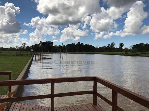 Imagen 9 de 14 de Venta Lote 1200 Con Amarras Dique Luján Bo Cerrado San Juan