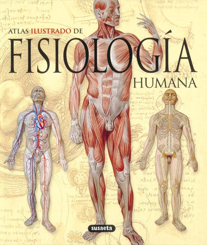 Atlas Ilustrado De Fisiologia Humana, De Susaeta Ediciones. Editorial Susaeta Ediciones Sa En Español