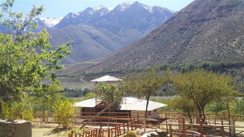 Agrícola En Venta En Monte Patria