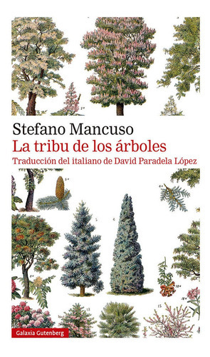 LA TRIBU DE LOS ARBOLES, de Mancuso, Stefano. Editorial Galaxia Gutenberg, S.L., tapa blanda en español