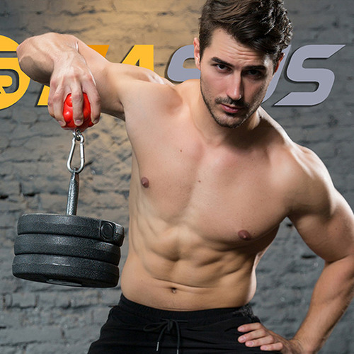 Entrenamiento De Los Músculos De Los Brazos Y La Espalda: La