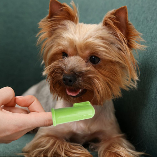 Cepillo De Dientes Para Perros Cepillo De Dientes Para Perro