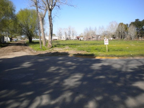 Imagen 3 de 10 de Terreno Santa Teresita