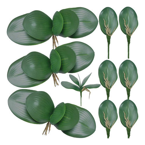 10 Unidades De Hojas Artificiales De Orquídea Phalaenopsis D