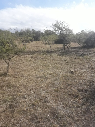 Imagen 8 de 11 de Lote 1500 M2 Tierra El Sauce Villa General Belgrano - Córdoba