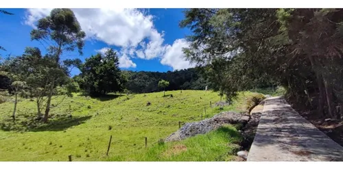 Lote En Vender En Rionegro