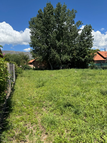 Terreno - Merlo