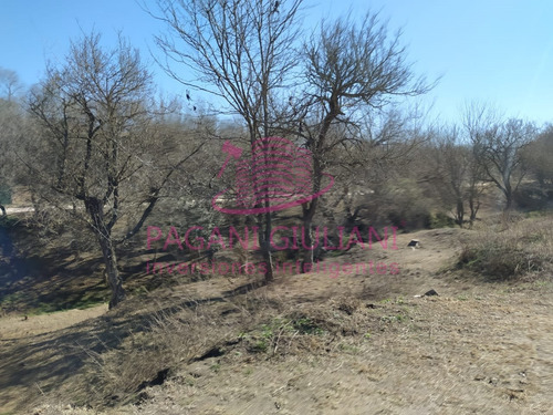 Imagen 9 de 17 de (cod 598) Terreno En Venta Es Estancia Vieja, Cerca De La Ruta