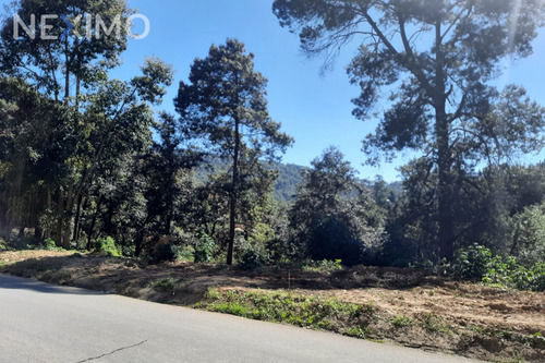 Imagen 4 de 5 de Terreno En Venta En San Cristóbal De Las Casas, Chiapas