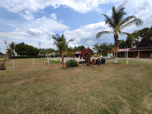 Imagen 12 de 13 de Junior Barreto 04244150764 Vende Finca En Tocuyito, Sector El Oasis. Valencia.