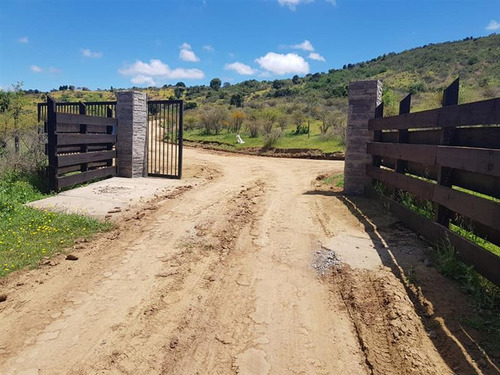 Hermosa Parcela En Palmas De Santa Cruz Chepica 1ha