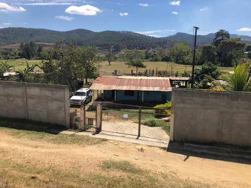 Global  Vende  Mini Finca En Nirgua Estado Yaracuy A La Orilla De La Carretera  Panamericana.