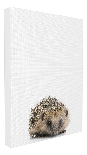 Stupell Home Décor Baby Hedgehog Studio Photo Stretched Canv