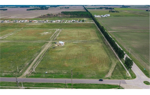 Imagen 6 de 11 de Terrenos En Venta Loteo Vicentin Avellaneda