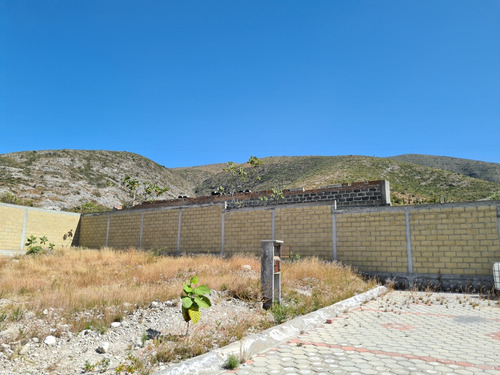 Terreno Venta 318 M2 Fraccionamiento Adoquinado Todos Servci