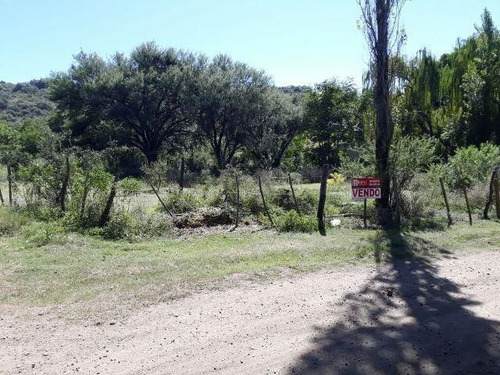 Imagen 2 de 5 de Lote | Entrada A13