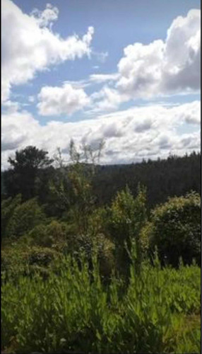 Terreno De 2 Hectáreas En Sector A Poñén Puente 6.