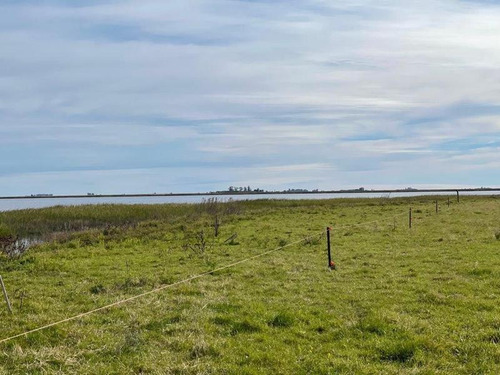 Imagen 9 de 19 de Campo En Venta !!! Gral Lavalle