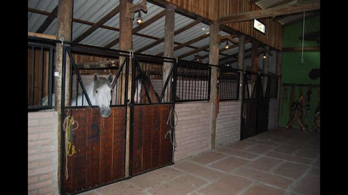 Imagem 13 de 28 de Casa De Alto Padrão
