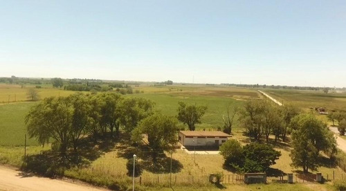 Imagen 3 de 7 de En Venta - 7 Ha / A La Vera De Rn7-km 347, Altura Acceso A Germania.