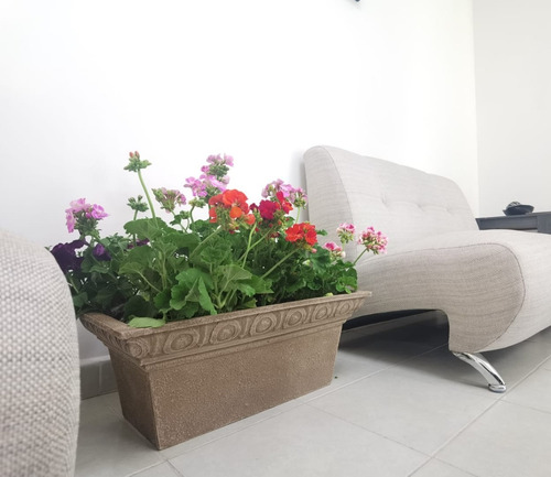 Imagen 4 de 7 de Maceta Minimalista Jardinera Mejor Que Fibra De Vidrio .31