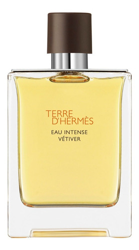 Terre Hermes Eau Intense Vetiver Perfume 100ml Cuotas!!!
