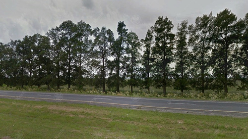 Imagen 10 de 18 de 520 Has - Campo En Venta En La Plata Zonificación Club De Campo