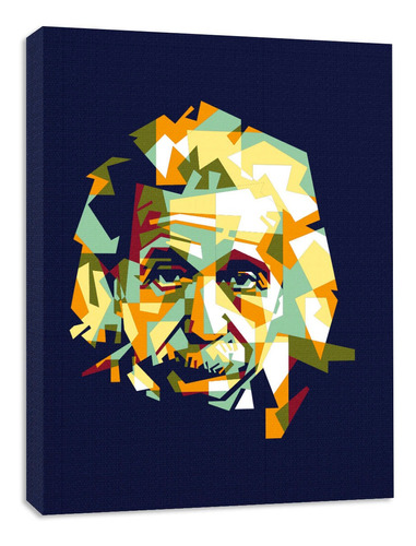 Cuadro Decorativo Canvas Albert Einstein Vector 80x60