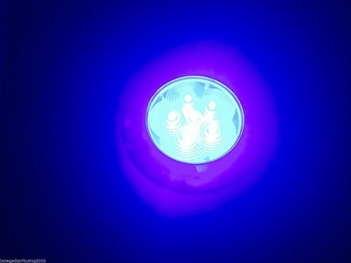 Pactrade Marine Rv Boat Trailer 6 Led Blue