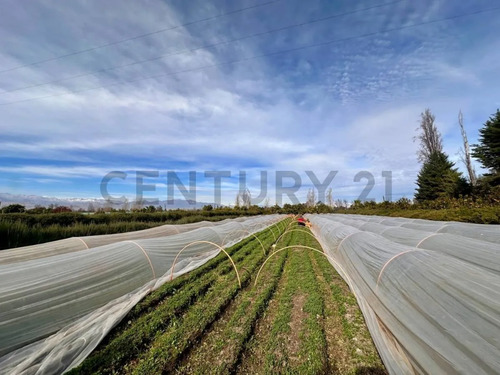 Inversión Agroindustrial Lista Para Operar | 1 Hectárea T...