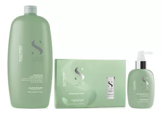 Tratamiento Anticaída Alfaparf Scalp Renew Hair Loss 1000ml