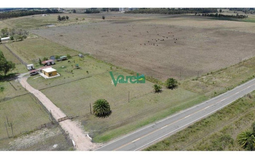 Imagen 7 de 12 de Chacra De 4 Has Con Casa En San Bautista - Balnearios Parque Del Plata