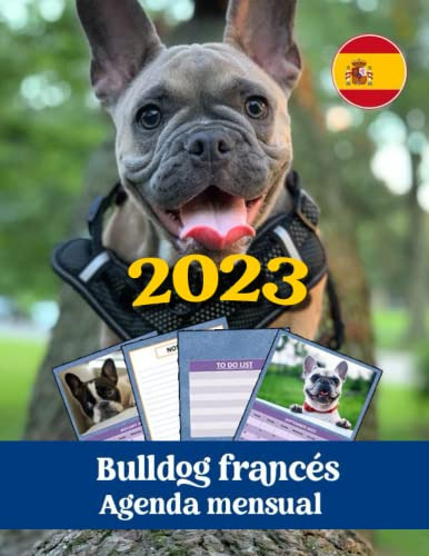 Bulldog Francés 2023 Agenda Mensual: 12 Meses ( Enero 2023 A