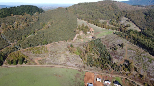 Cam, Colonia Lautaro/ Camino Pumalal/ Sin Comisión