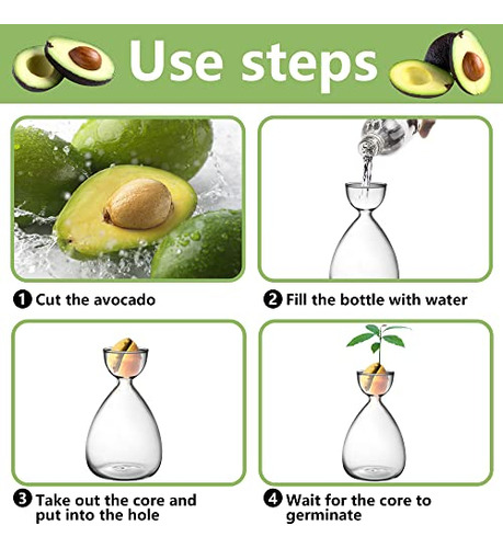 2 Piezas Pequeño Vaso De Germinación De Semilla De Aguacate,