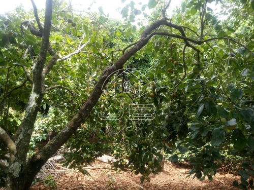 Imagem 22 de 22 de Chácara À Venda Em Bairro Dos Leandros - Ch013232