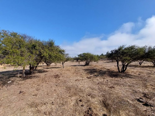 Se Vende Terreno Orilla Calle Los Laureles Limache