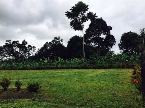 Imagen 10 de 10 de Se Vende Lote 749 M2 La Fortuna San Carlos