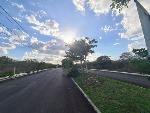 Imagen 10 de 16 de Terreno En Venta En Cholul