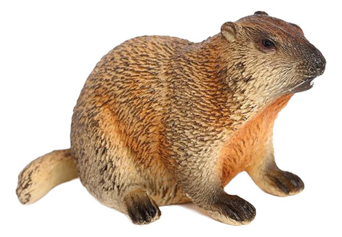 Juguete De Marmota, Modelo De Animal De Estilo C