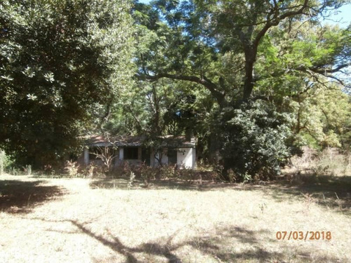 Imagen 16 de 25 de Campo Alto A 60 Km Del Ovelisco 376 Hectareas Con Mejoras
