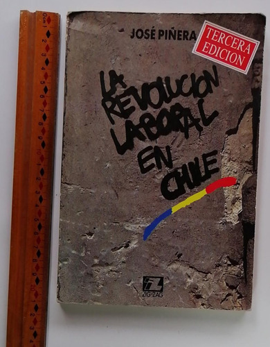 La Revolución Laboral En Chile. José Piñera