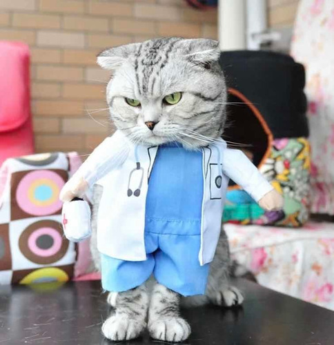 Disfraz Mascota Perro Gato Cosplay Médico Doctor Enfermero