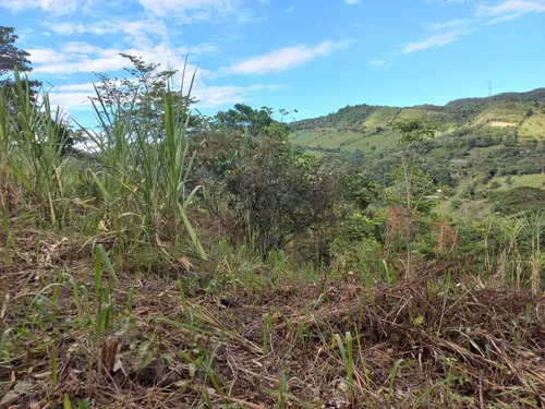 Venta De Lote En Villeta, Vereda Cune