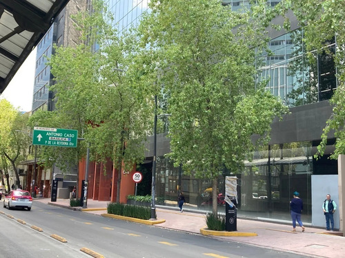 Oficina En Venta Acondicionada, Yama Insurgentes Reforma
