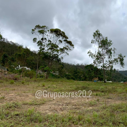 Imagen 2 de 5 de Acres 20.2 Vende Terreno Ubicado En La Urbanizacion Lomas De Avp. Cf