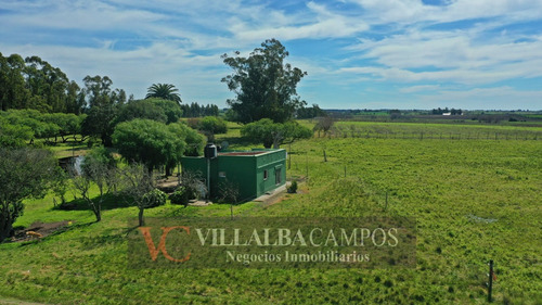 Chacra De 26 Hectàreas En Pantanoso, Sauce, Canelones